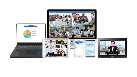 TE Video Conference Softclient