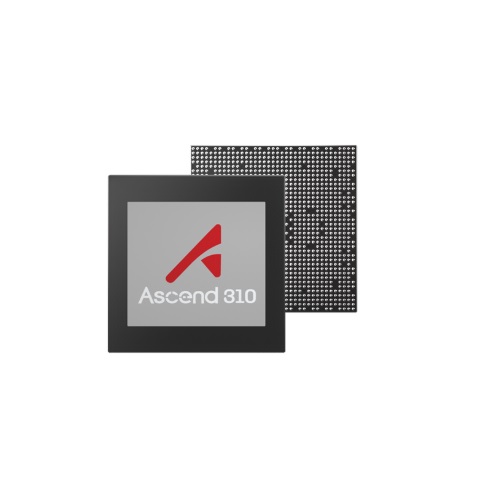Ascend 310 | ActForNet